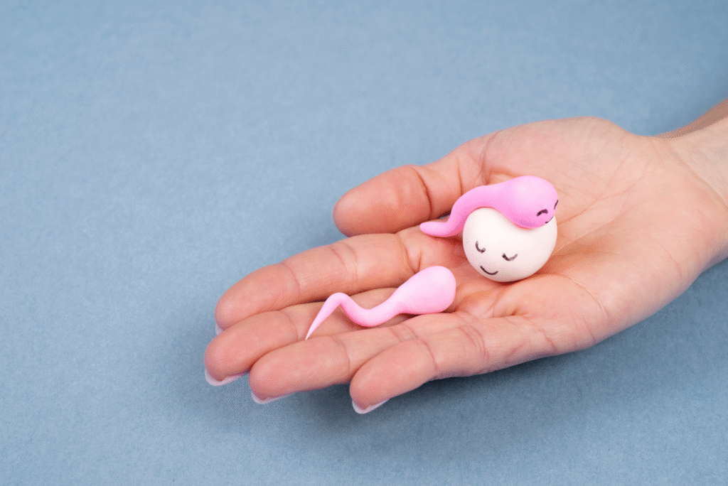 Fertility Myths