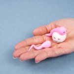Fertility Myths Debunked: What’s True & What’s Not